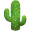 🌵 🌵