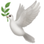 🕊️ 🕊️