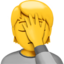 🤦 🤦