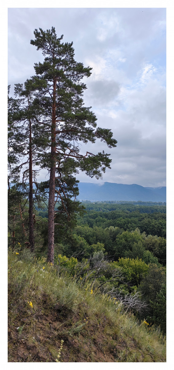 После дождя.