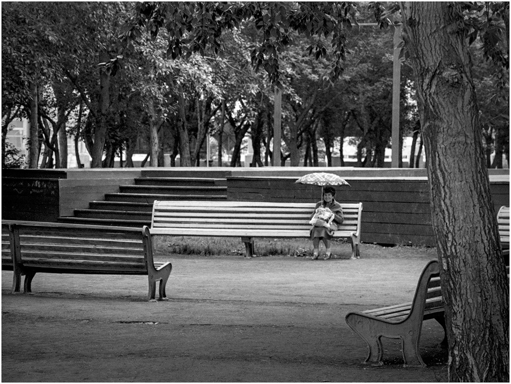 В Старом парке
