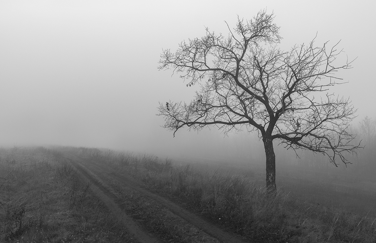 г. Самара