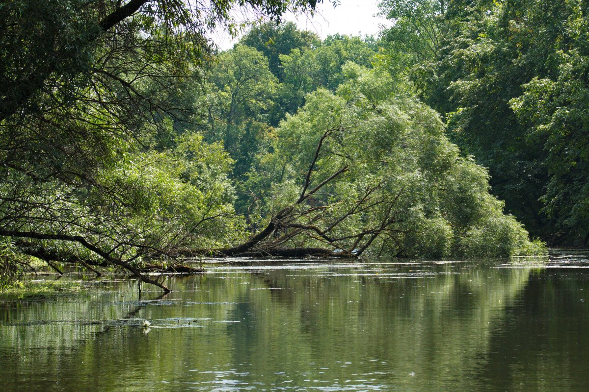 на реке