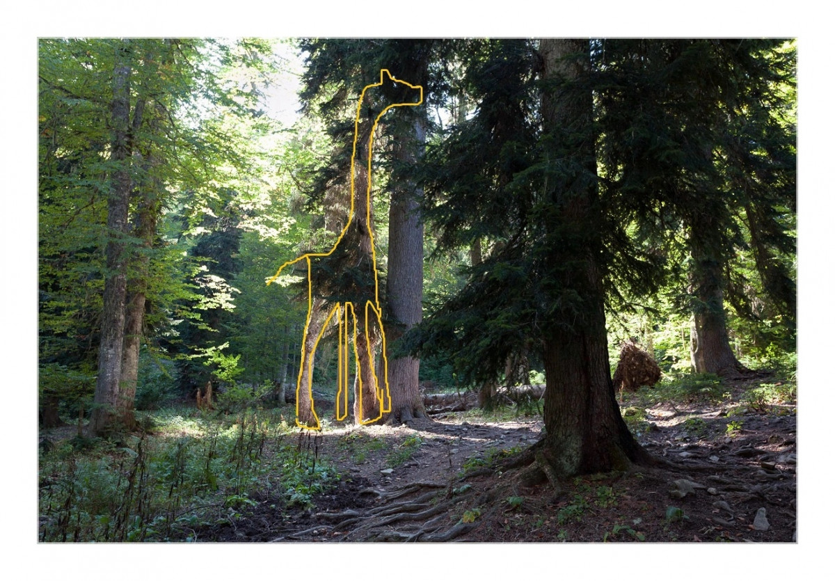 🦒