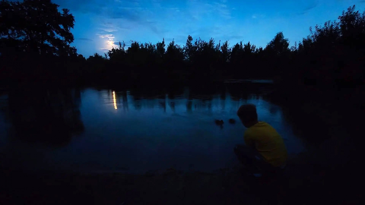 Ребенок, уткии луна