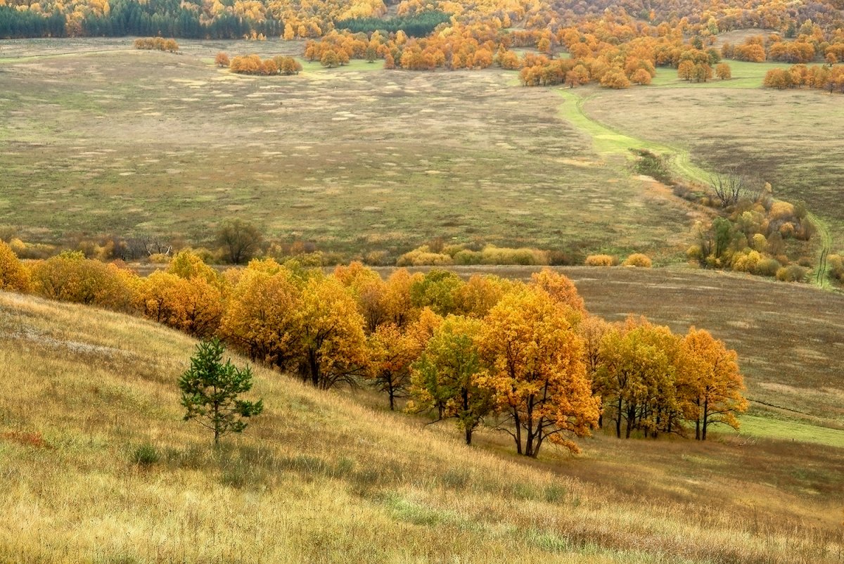 Осенний клин