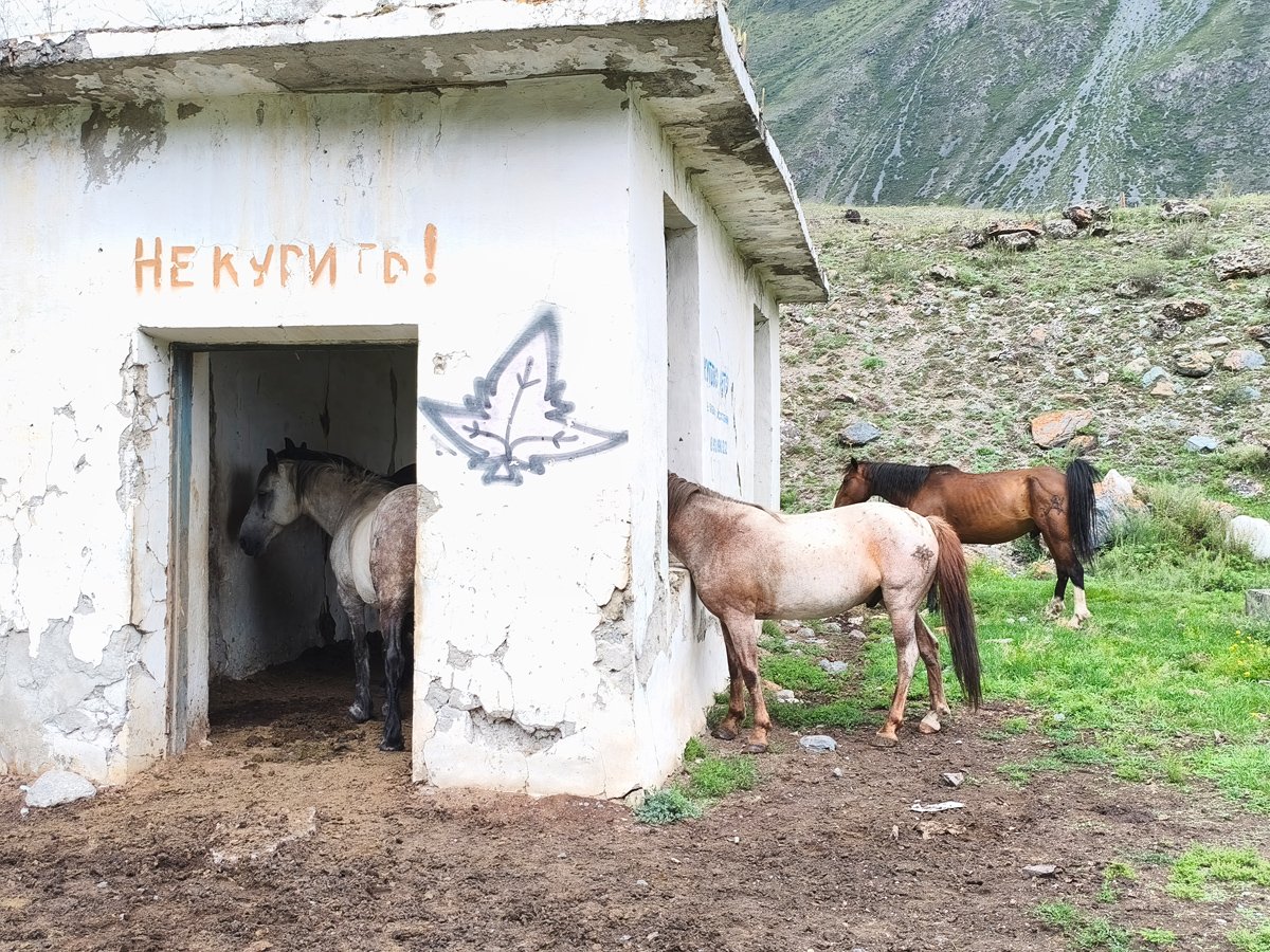Застрял в текстурах