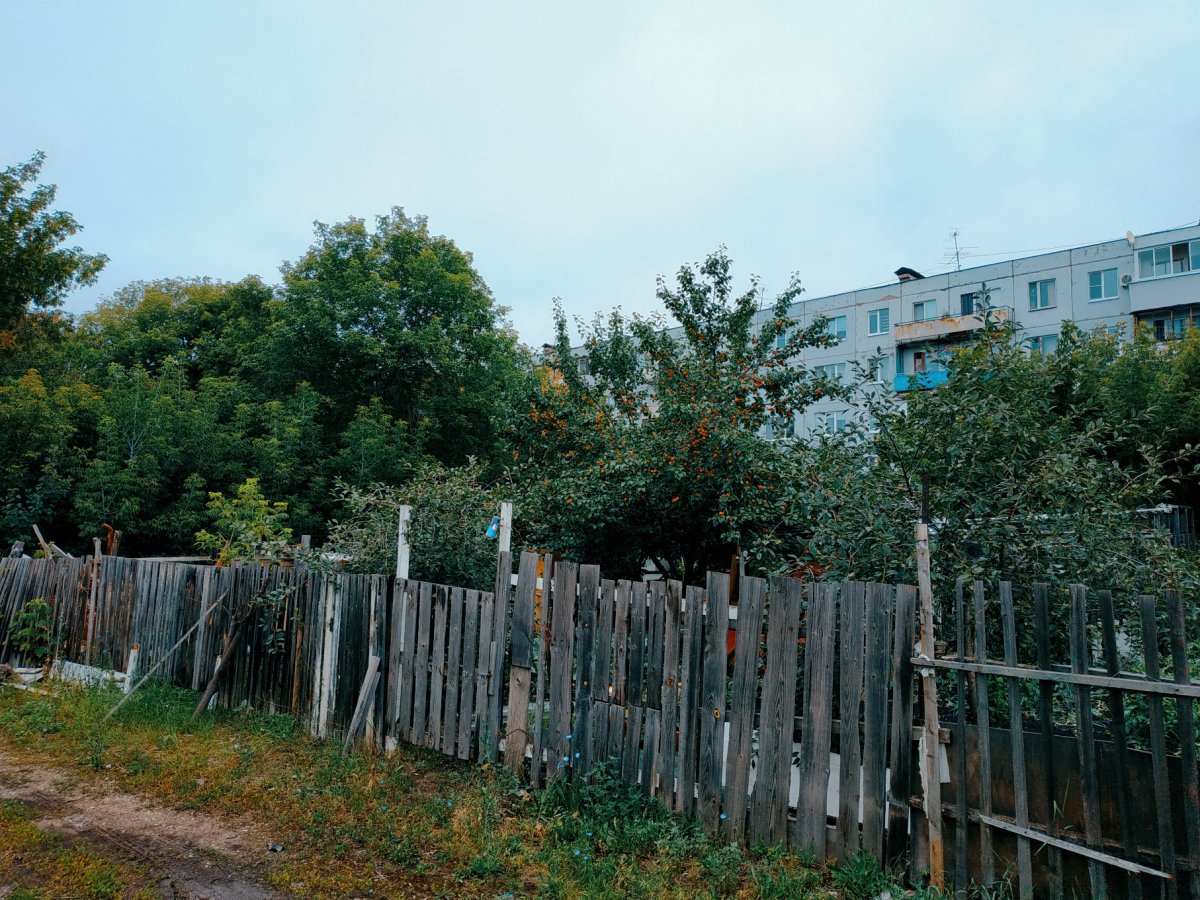 Абрикос