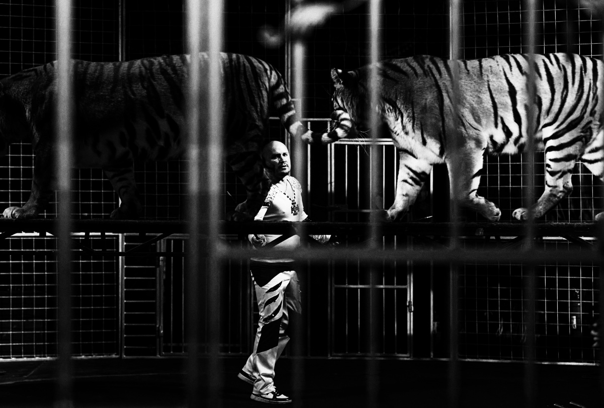 Группа в полосатых купальниках)