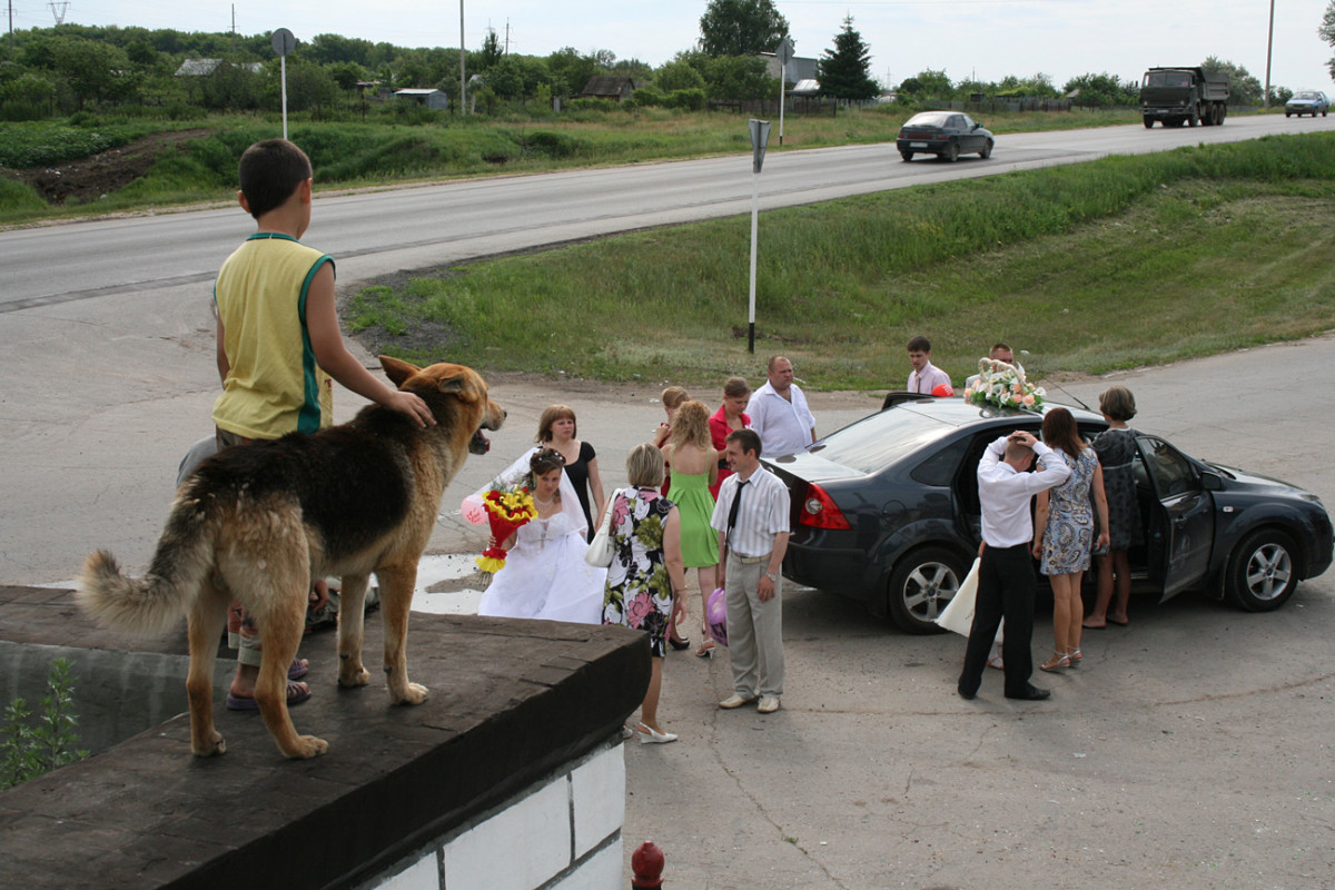 Свадьба