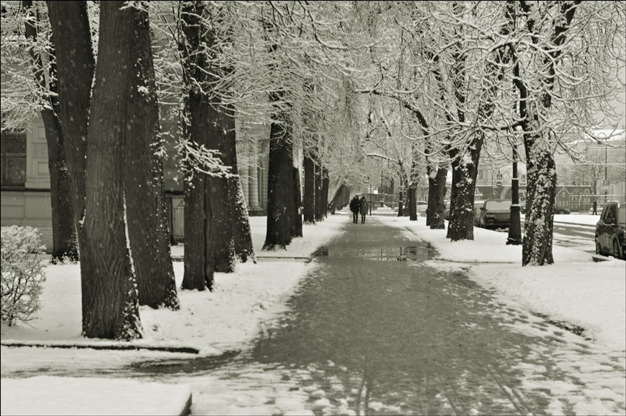 ...есть улица Кленовая