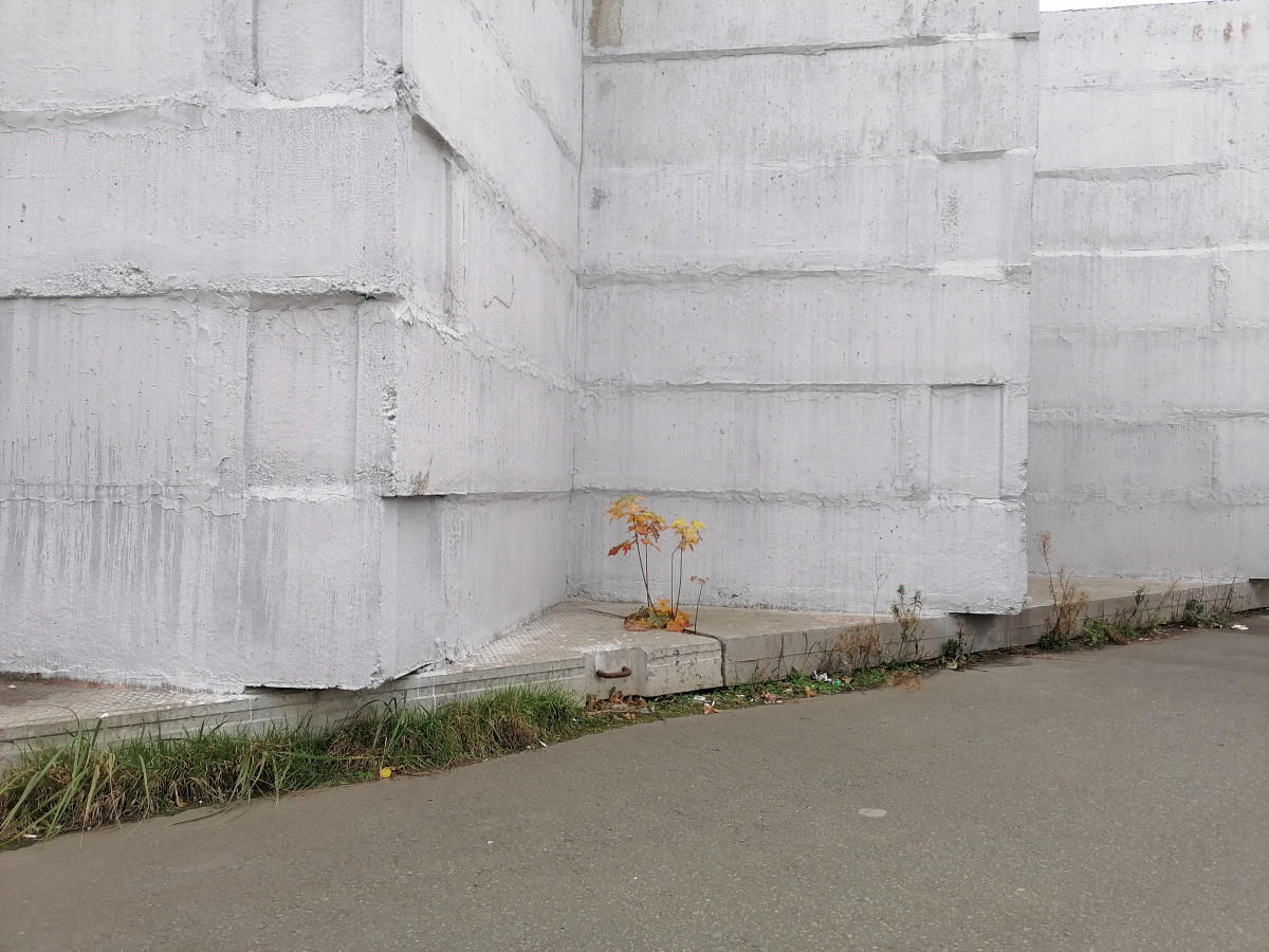 Осень