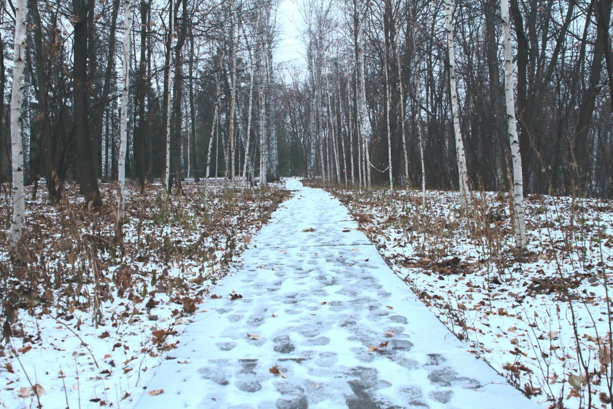 Первый снег