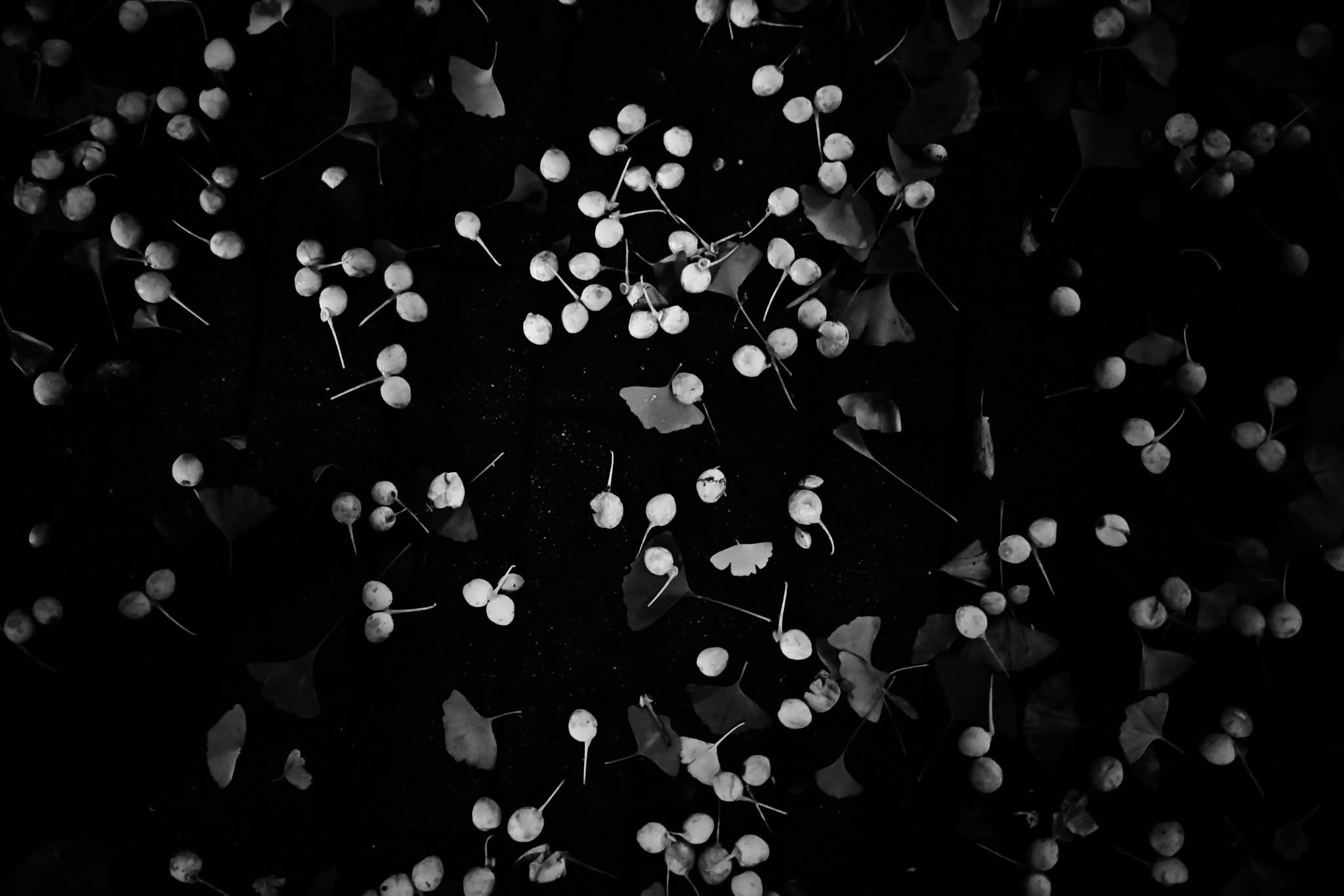 Tokyo. Botanical.