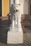в мире животных