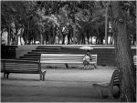 В Старом парке