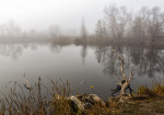 г. Самара