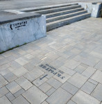 Клетки и ступени