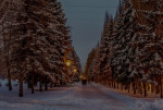 Зимняя аллея