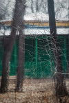 Про осень