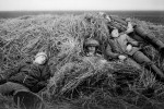 В рабочий полдень