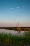 Улетели листья