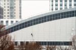 муравей
