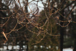 Осень