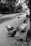 В городском парке