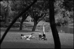 Пальцами в небо.