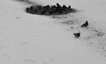 Изгнание из рая_