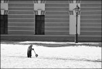 могу копать...а могу и не копать_