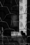 Выпускай своих демонов