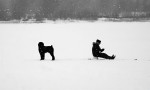 ***